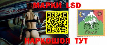 шишки Кимры